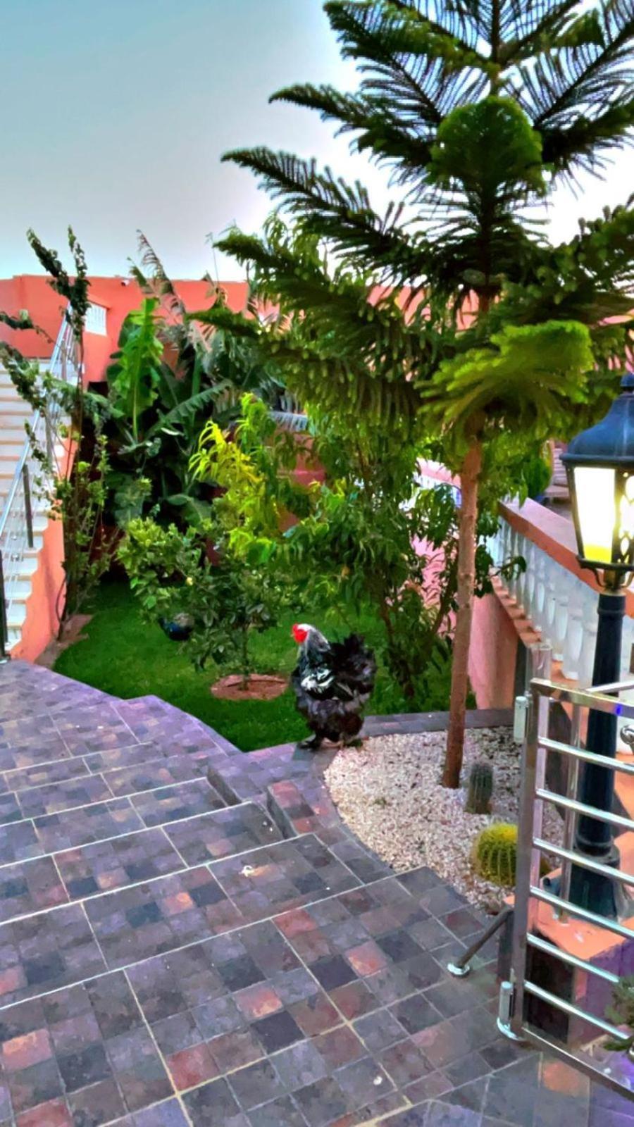 אגאדיר Riad Dar Salam מראה חיצוני תמונה